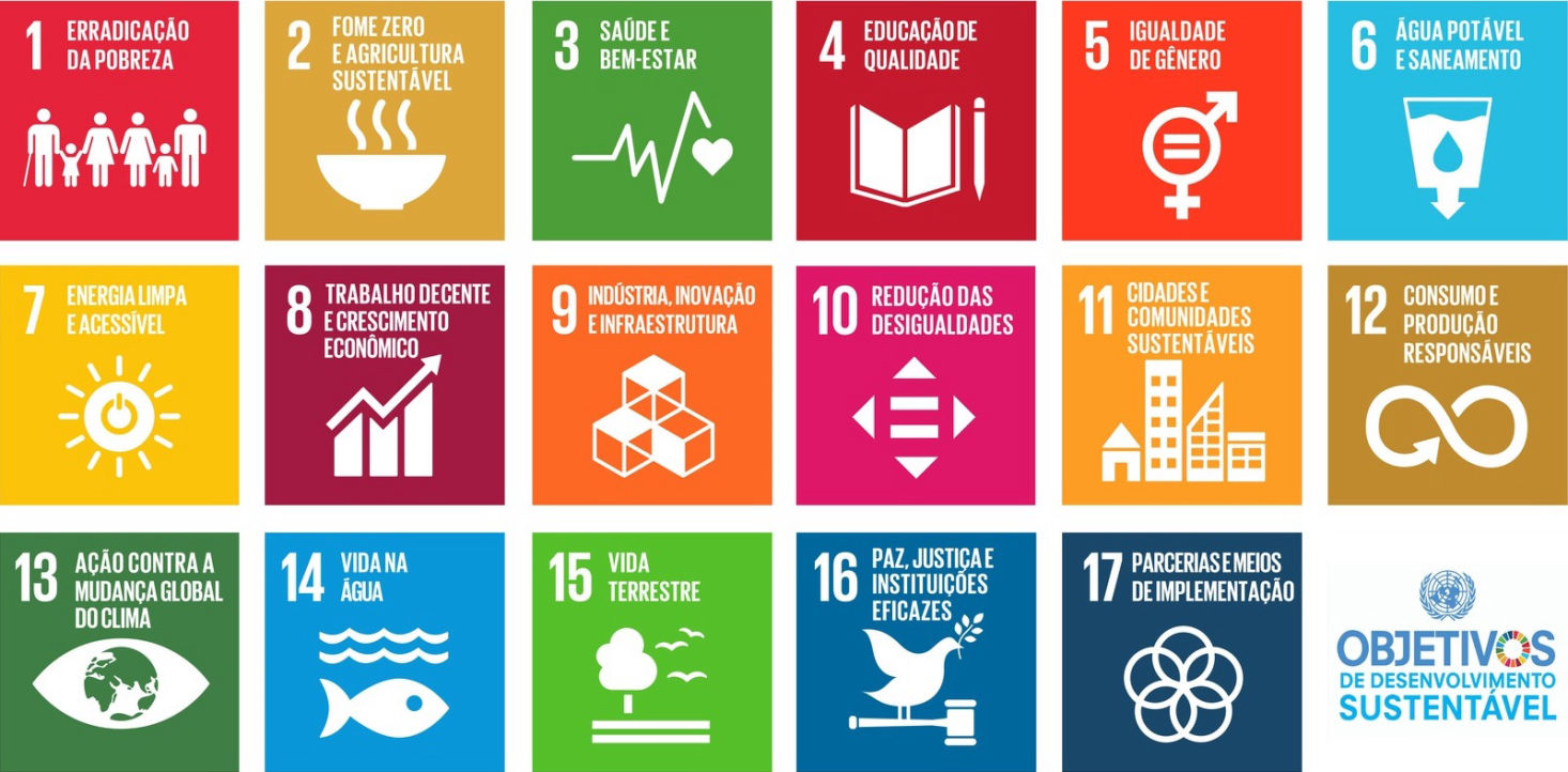 Agenda 2030 ODS