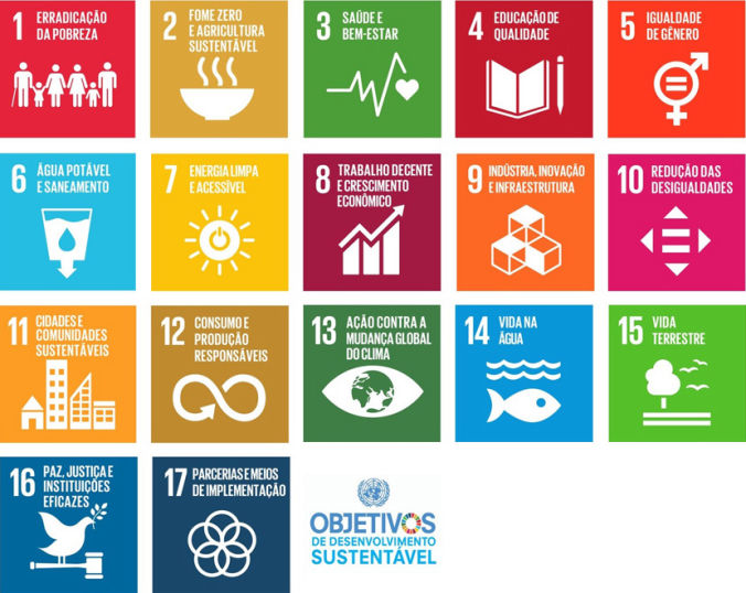 17 Princípios da ODS